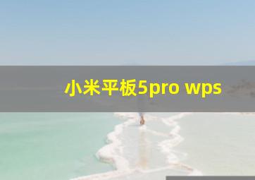 小米平板5pro wps